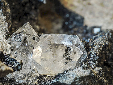 Некоторые редкие алмазы образуются из останков когда-то живших существ